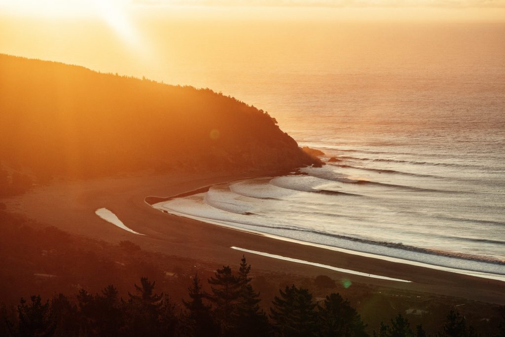 ©felix gänsicke 1 14 1